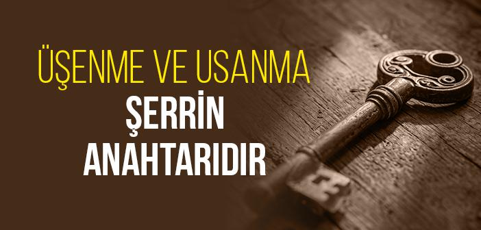 Üşenme ve Usanma Şerrin Anahtarıdır