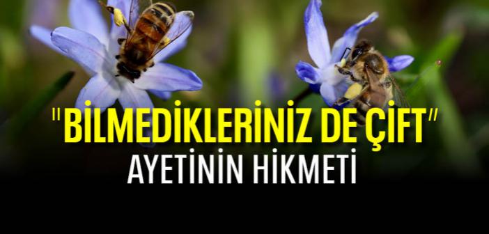 “Bilmedikleriniz De Çift” Ayetinin Hikmeti