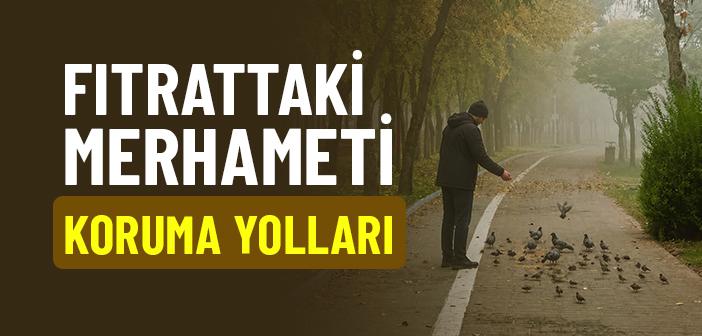 Kalp Katılığından Kurtulmanın Reçetesi