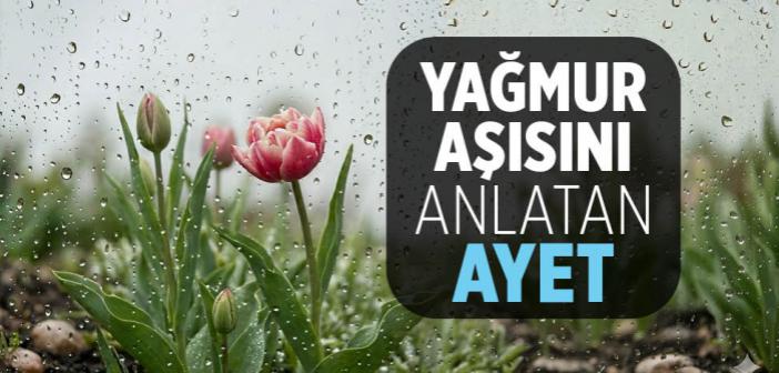 Yağmur Aşısını Anlatan Ayet
