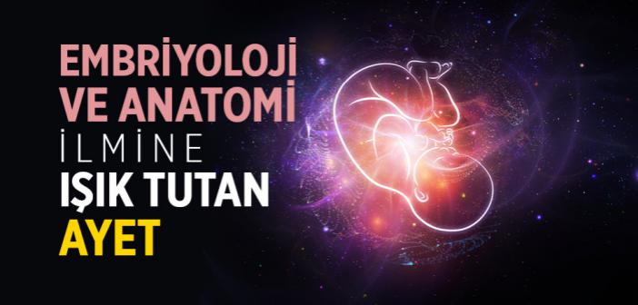 Embriyoloji ve Anatomi İlmine Işık Tutan Ayet