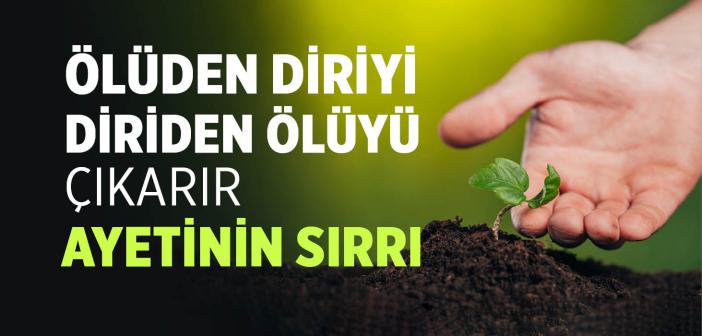 "Ölüden Diriyi Diriden Ölüyü Çıkarır" Ayetinin Sırrı