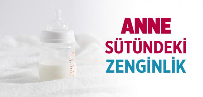 Anne Sütündeki Zenginlik