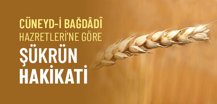 Hz. Cüneyd-i Bağdadi'nin Şükür Tarifi