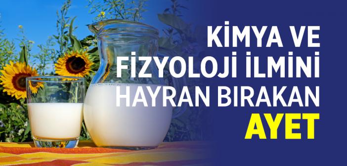 Süt Nasıl Oluşuyor?