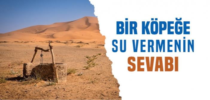Susamış Köpeğe Su Veren Adamın Mükâfatı