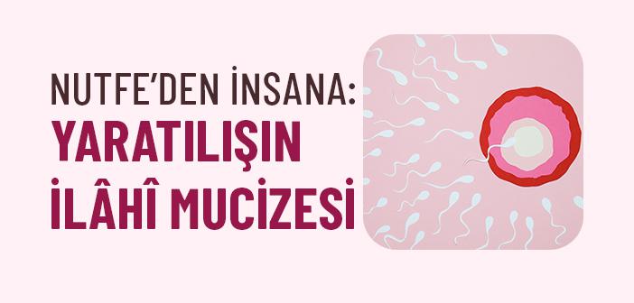 Kur’ân’a Göre İnsan Sudan Nasıl Yaratıldı?