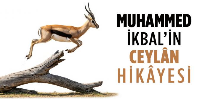 Muhammed İkbal’den Hayat Dersi: Tehlike, Kudreti İmtihan Eder
