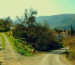 Kadere, Hayır ve Şerrin Allâh’tan Olduğuna Îmân