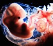 Vacibul Vücud Nedir?