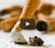 Mekruh Nedir?