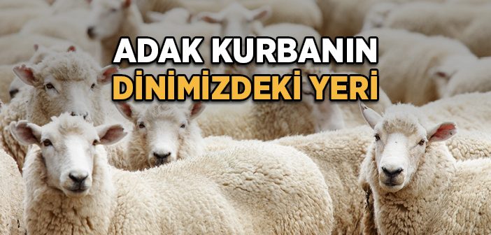 Adak Kurbanı Nedir?