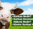 Kurbandan Önce Bilinmesi Gerekenler