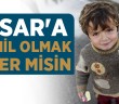 Suriye Oldu Mekke, Türkiye Oldu Medine