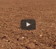 Mü'min Mayın Tarlasında Dolaşır Gibi Dolaşacak