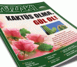 Yüzakı’ndan Gül Gibi Bir Sayı