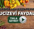 Kur'an'da Adı Geçen Meyveler ve Faydaları