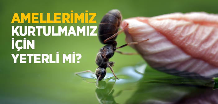 Amellerimiz Bizi Kurtarır mı?