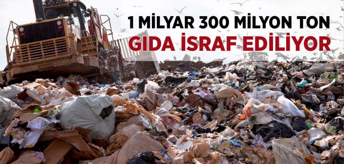 1 Milyar 300 Milyon Ton Gıda İsraf Ediliyor