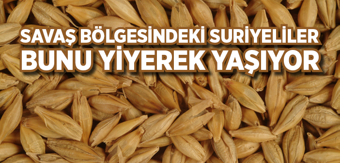 Suriyeliler Bunu Yiyerek Yaşıyor