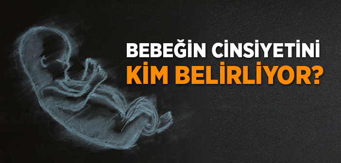 Cinsiyet Oluşumunda Anne mi Baba mı Daha Etkin?