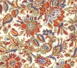 Garânîk Meselesi Nedir?