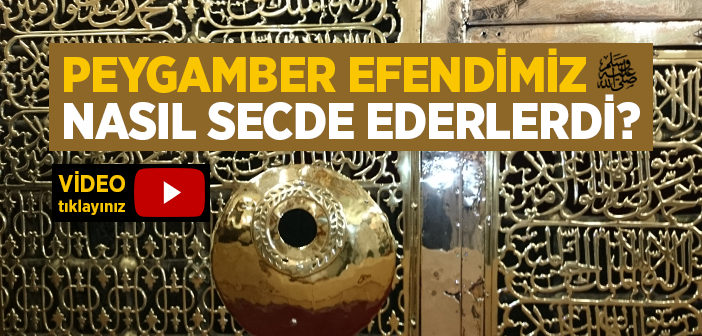 Peygamber Efendimiz (s.a.v) Nasıl Secde Ederdi?