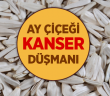 Ay Çekirdeği Kansere İyi Geliyor