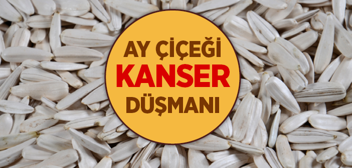 Ay Çekirdeği Kansere İyi Geliyor