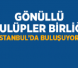 Genç Gönüllüler Buluşuyor