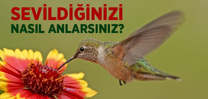 Sevildiğinizi Nasıl Anlarsınız?