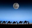 Bi'ri Maûne ve Rec'i Olayı