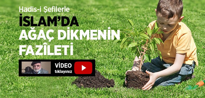 İslam'da Ağaç Dikmenin Fazîleti İle İlgili Hadisler