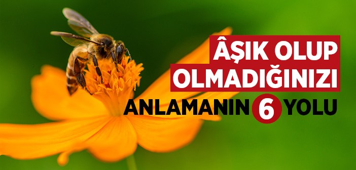 Âşık Olup Olmadığınızı Anlamanın Yolu!