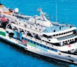Mavi Marmara Davası Devam Ediyor!