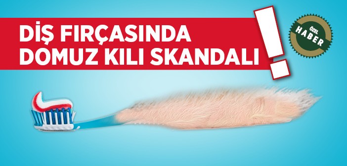 Dişinizdeki Domuz Kılı!