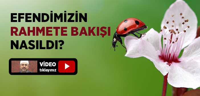 Peygamberimiz Bugüne Nasıl Yansıtılır?