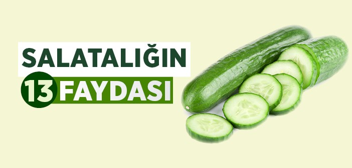 Salatalığın İnanılmaz Faydaları