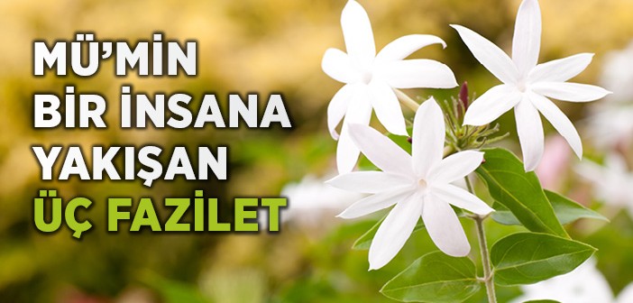 Mümin Bir İnsana Yakışan Üç Fazilet