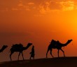 Ebû Basîr Es-sekafî Kimdir?