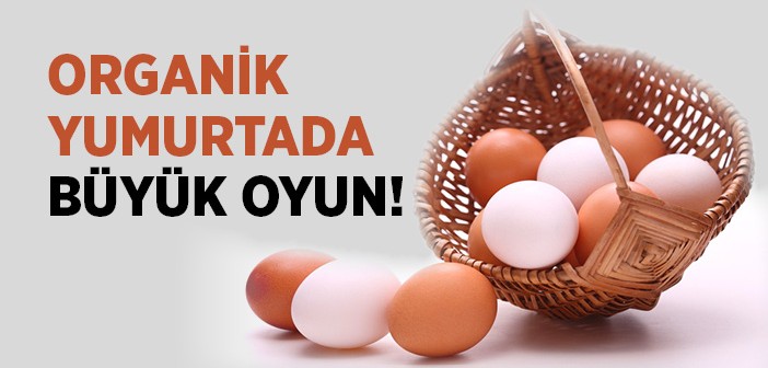 Yumurta Alırken Dikkat!