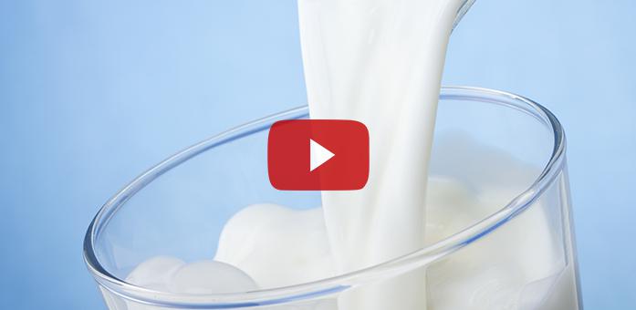 Eşek Sütü İçmek Caiz midir?