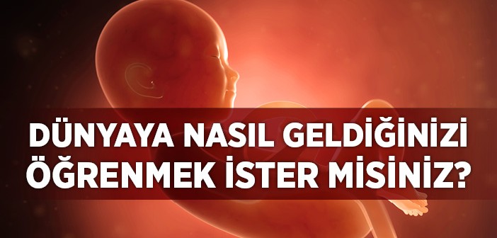 İnsan Biyolojik Olarak Nasıl Var Olur?