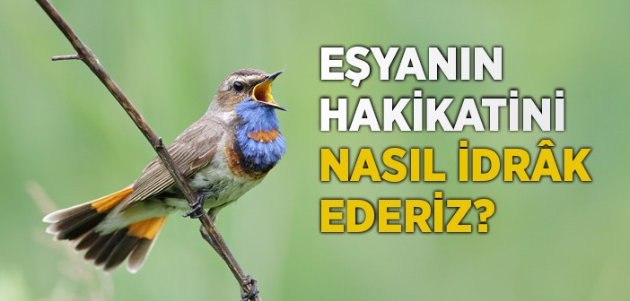 Eşyanın Hakikatine Ermek İçin...