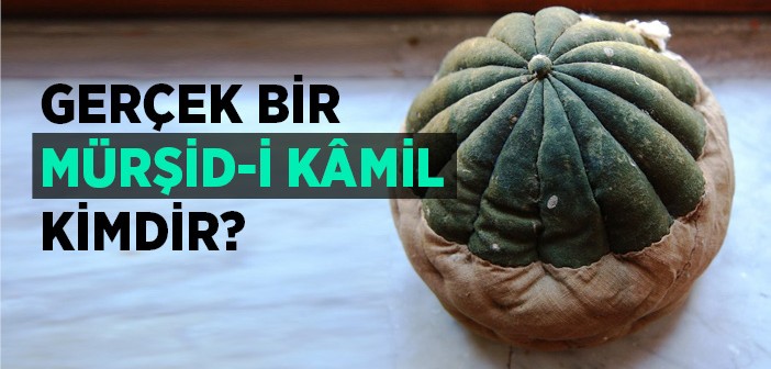 Mürşid-i Kâmil Kimdir?