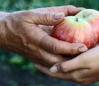 Zengin Müslümanlar Parasını Nasıl Harcamalı?