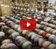 Hızlı Namaz Kılmak Dinimizce Uygun mudur?