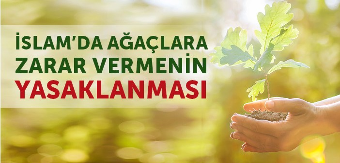 Ağaç Kesmek ve Ağaç Dikmek İle İlgili Hadisler