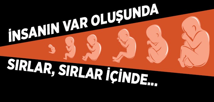 İnsanın Var Oluşundaki Muhteşem Sır