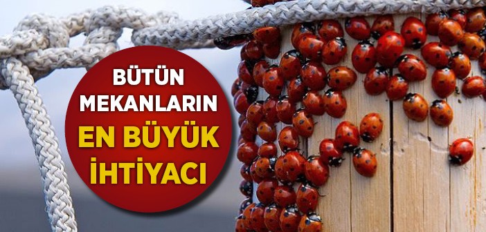 Bizi Müslümanca Ayakta Tutan Güç!